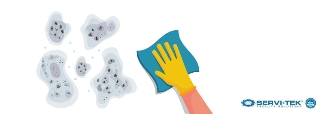 What is Black Mold? What is Black Mold?