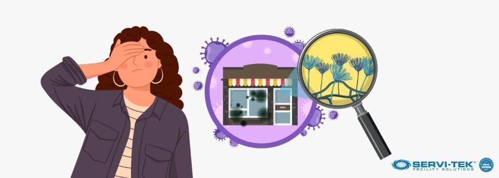 Mold: A Retailer's Worst Nightmare Mold: A Retailer's Worst Nightmare